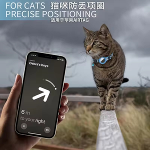 Haustierbedarf: Individuelle, Süße, Bequeme, Verstellbare Halsbänder aus Nylon für Katzen mit AirTag und Passende Leinen - Product Image 5