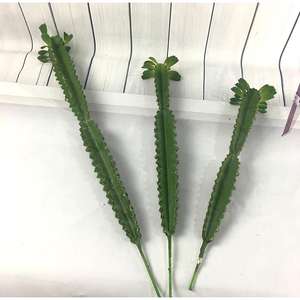 <span class=keywords><strong>Cactus</strong></span> artificiel en plastique, verdure écologique, décoration murale réaliste, cadeau de remise de diplôme, fausses fleurs - Product Image 1