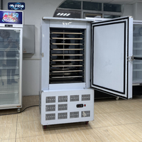 Congélateur à air pulsé à 10 plateaux -45°C ° Congélateur cryogénique rapide à dégivrage automatique pour usage commercial en cuisine, tunnel de congélation pour aliments