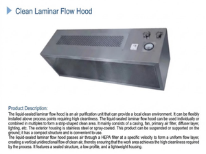 Cabina a Flusso Laminare in Acciaio Inox 304 su Misura per Laboratori di Ricerca Semiconduttori - Product Image 4