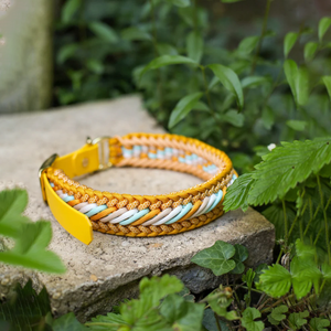 Luxus Custom Logo Geflochtenes Paracord Hunde halsband mit verstellbarem Leder adapter Hunde halsband - Product Image 1