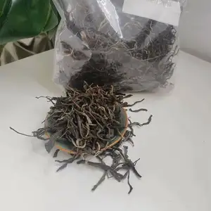 Factory Direct Sales Production Line Fresh Organic Green Tea Leaves