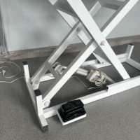 Table de toilettage pour animaux de compagnie, table de beauté électrique avec levage hydraulique, table de beauté imperméable pour animaux de compagnie, table de beauté universelle pour chiens et chats, table de beauté circulaire à levage pneumatique