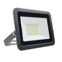 Proyektor Modul Pribadi Pabrik Banqcn China IP65 220V 110V 24V Lampu Sorot LED 50w untuk Pencahayaan Taman Luar Ruangan Bersertifikasi CE SAA ROHs