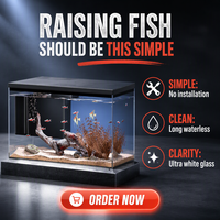 Aquarium de bureau en verre ultra-clair, kit complet tout-en-un avec filtre arrière et éclairage LED pour la maison et le bureau