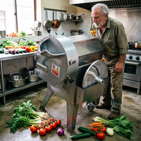 Coupe-légumes commercial en acier inoxydable multifonction pour carottes, tomates, pommes de terre, pour la transformation alimentaire en cuisine