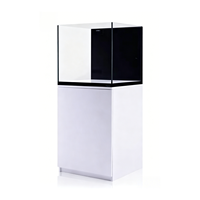 Filtre de réservoir de poissons ultra-fin Ruibit PW50 PW60 PW90 en verre ultra-blanc spécial pour aquarium 110-240V