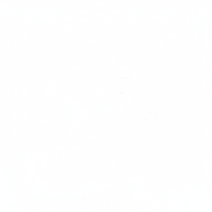 Anillos de Pistón de Hierro Fundido K4F 1.8L de Alta Calidad LEP101320L LEP-101320L, Kit de Repuestos para Motor Diésel para Automóviles en Existencia - Product Image 1