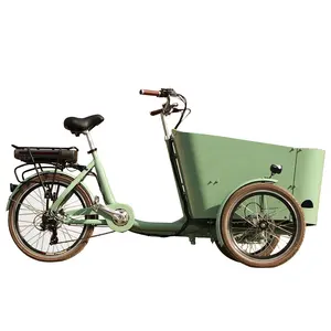 250W Aluminum Alloy Frame closed cabin delivery bike pedal cargo tricycle on sale