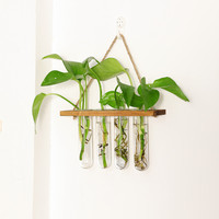 Tube à essai en verre suspendu vase à plantes hydroponiques petit vase en verre pour décoration murale pendentif maison salon