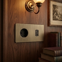 Prise murale Niva 16A Schuko avec USB A+C, norme européenne, avec panneau en acier inoxydable, prises électriques