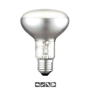 Lámpara <span class=keywords><strong>de</strong></span> Calor para Reptiles <span class=keywords><strong>de</strong></span> 25W 50W 75W 100W con Filamento <span class=keywords><strong>de</strong></span> Tungsteno, Luz Diurna, Ecológica, Certificada por la CE, Bombilla <span class=keywords><strong>de</strong></span> Calor Pequeña para Reptiles, Luz UVA - Product Image 2