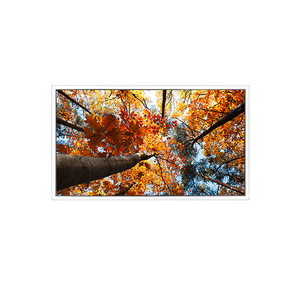 พร้อมจอแสดงผล LED ไดร์เวอร์ LED ขนาด 27.0 นิ้ว 3840RGB*2160 UHD 163PPI EV270QUM-N10 TFT LCD LCM สำหรับการถ่ายภาพทางการแพทย์ - Product Image 1