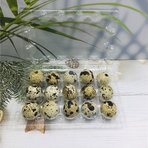 Scatola/contenitore d'imballaggio del vassoio dell'uovo di quaglia di plastica trasparente a 15 fori usa e getta di alta qualità - Product Image 2