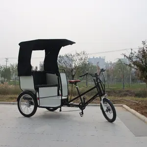 Three Wheel E Bike 2 Seats Battery Driving Electric Pedal Passenger Rickshaw Tricycle