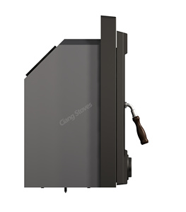 Poêle <span class=keywords><strong>à</strong></span> <span class=keywords><strong>granulés</strong></span> moderne en fonte avec insert pour le chauffage domestique et le poêle <span class=keywords><strong>à</strong></span> bois élégant - Product Image 5