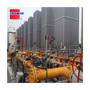 Vaporizador de baño de agua de 60000Nm, 3/h de gnl y calentador de placa de tubo en U para grupo de Gas Hefei - Product Image 4