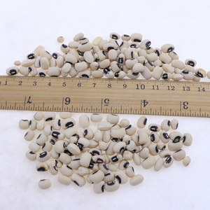 <span class=keywords><strong>Haricots</strong></span> Vigna Naturels Séchés Non-OGM, <span class=keywords><strong>Haricots</strong></span> Blancs, <span class=keywords><strong>Haricots</strong></span> Noirs - Product Image 2