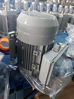 Moteur monophasé YL112M-4 4Kw 4 pôles