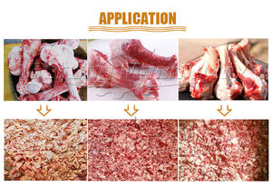 Trituradora de Huesos de Acero Inoxidable 304 para Procesamiento de Carne, para Huesos de Animales y Ovejas, Uso en Restaurantes, Motor Nuevo - Product Image 2