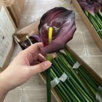 Realistische Künstliche Blumen Latex Künstliche Calla-Lilie 66cm Naturgetreue Calla-Lilie Kunstblume für Hochzeitsdekoration