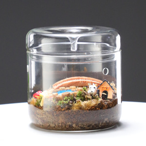 Pots de <span class=keywords><strong>jardin</strong></span>, jardinières, vases Wabi Kusa, contenants de terrarium de différentes tailles pour plantes, bocaux en verre avec couvercles - Product Image 4