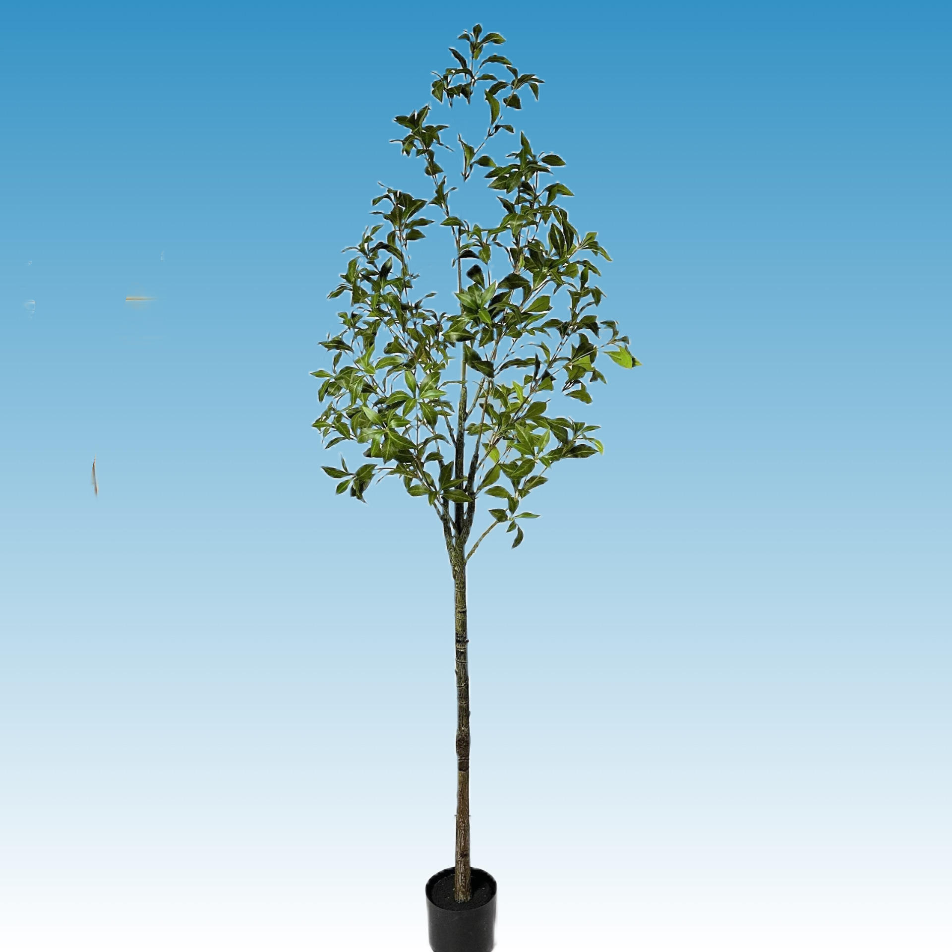 180cm cheval en bois ivre avec bassin noir