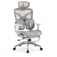 Chaises de bureau ergonomiques de luxe modernes en plastique gris à dossier haut, réglables, avec accoudoirs 3D