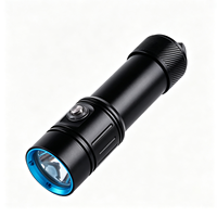 Lampe de plongée LED professionnelle L2/L40/P50 1200 lumens, éclairage sous-marin en eau profonde, lampe de plongée en alliage d'aluminium pour l'extérieur