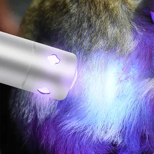 Mini luces led uv con aleación de aluminio, linterna uv recargable por usb, puntero láser, luz púrpura