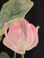 Composition florale géante en organza transparent, lotus rose en maille et feuilles vertes sur support pour vitrine d'exposition, style oriental