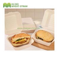 Boîtes à emporter personnalisées 8x8 pouces en bagasse biodégradable et compostable pour hamburgers