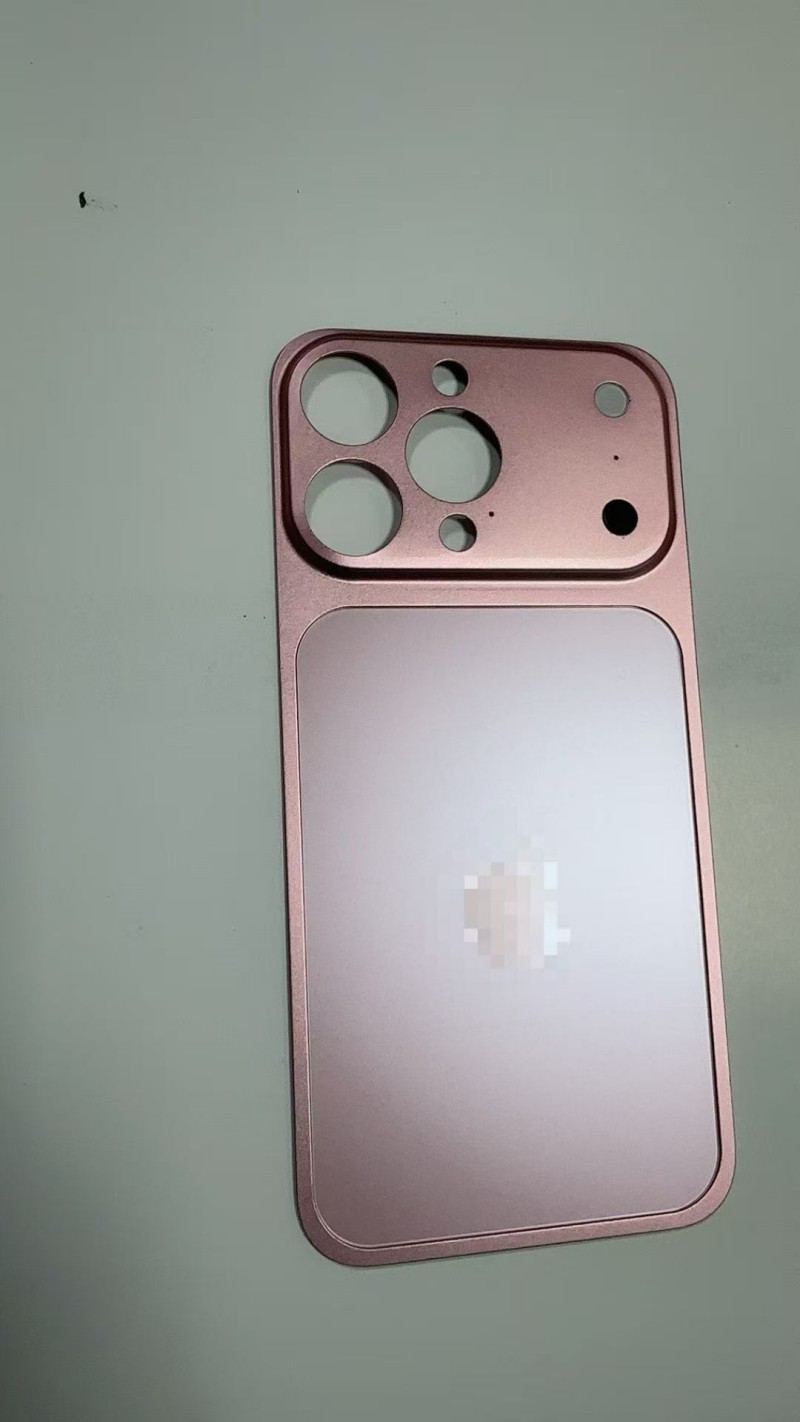 Rosa (Parachoques + Panel Trasero Metálico)