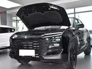 Jetour Dasheng 2026 Edizione Youth 1.5T 6DCT Elite SUV 5 Porte 5 Posti con Motore 1.5T 156cv L4 per Adulti Prodotto in Cina - Product Image 4