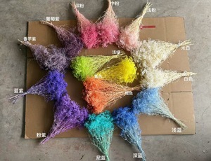 <span class=keywords><strong>ดอก</strong></span>ยิปโซฟิลลาเกรด AA คุณภาพส่งออกจากโรงงาน แบบช่อใหญ่ สี Stardust ฟอกขาว สำหรับจัดดอกไม้ - Product Image 6