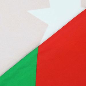 Bandera Rectangular Plegable para Capó de Coche, con Diseño de León de México e Irán, en Tela Elástica de Poliéster, Impresión Digital, Logotipo Personalizado, para Exteriores, Nueva y Económica 2026 - Product Image 5