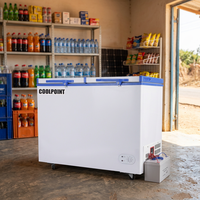Réfrigérateur solaire à double température 230L/250L/260L avec batterie de secours pour usage domestique