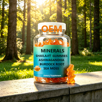 Compléments Énergétiques Naturels pour Hommes en Gummies pour le Soutien Immunitaire Formule GMP Irish Moss avec Shilajit Crinière de Lion Gummies Véganes Seamoss