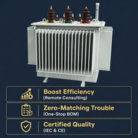 Transformateur immergé dans l'huile à enroulement en cuivre entièrement scellé S13 160 kVA 10 kV/0,4 kV triphasé à économie d'énergie certifié CE IEC 60076 ISO 9001