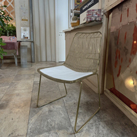 Chaise de salle à manger moderne avec structure métallique, style nordique minimaliste, coussin Bertoia, chaise en fil métallique pour cuisine, salle à manger, café