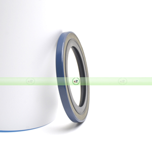 Joint d'huile de matériau en caoutchouc fluoré nitrile de haute qualité 500359 fabriqué en Chine - Product Image 3