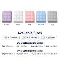 Couette matelassée extra chaude pour l'hiver, 50% duvet de canard, avec coutures en boîte, en coton anti-duvet, poids lourd 1200g, vente en gros OEM