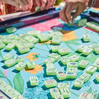 Expédition sous 24 heures – Ensemble de Mahjong Premium Garden Glow Matcha Pearl – Tuiles de Mahjong américaines en acrylique pour le divertissement