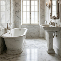 Grande dalle de marbre Arabescato italien, veines grises prononcées, poli, design moderne pour la décoration murale de villas de luxe, salles de bain et salons