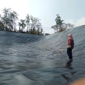 Hóa chất kháng HDPE <span class=keywords><strong>geomembrane</strong></span> cho hố chất thải công nghiệp axit/kiềm kháng Leak-proof tùy chỉnh độ dày - Product Image 3