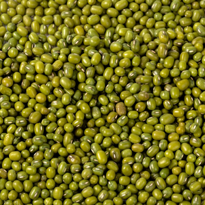 New Harvest FitTree International Indian Green Moong <b>Beans</b> Natural Premium Grade Whole Pulses 24 Months Shelf Life Gujarat for - Product Image 1