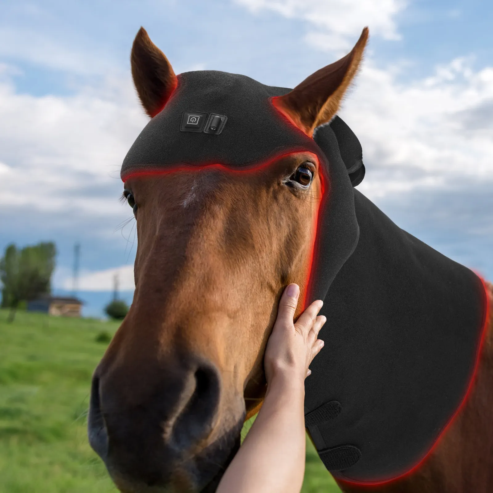 แสงสีแดงบำบัดสัตว์แพทย์สำหรับม้า850nm 660nm ใกล้อินฟราเรดบรรเทาอาการปวดด้วยแสงห่อตัวสำหรับการดูแลสุขภาพม้า