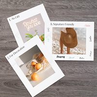 Paquete de 10 Paspartús Rectangulares Verticales para Fotos de 11x14 y 8x10, Núcleo Blanco, Sin Ácido, Ideales para Marcos, Impresiones Artísticas