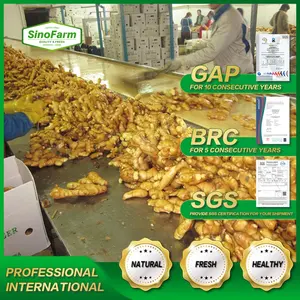 High Quality Dried Fresh Ginger Market Price Per Ton Wholesale Ginger Buyers For Export In China Ginger