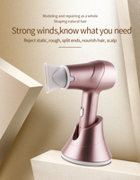 Sèche-cheveux à faible bruit, puissant, professionnel, salon, maison, fabricant, brosse personnalisée, sans fil, rechargeable à grande vitesse, support en une étape
